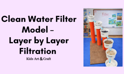 Clean Water Filter Model – Layer by Layer Filtration Experiment