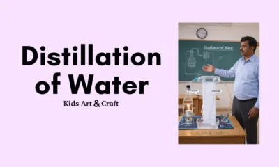 Water Distillation Working Model Project for Students