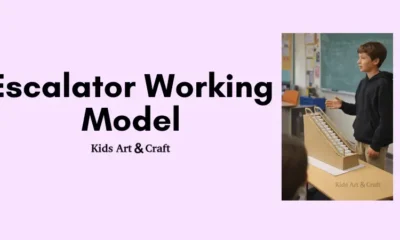 Awesome Cardboard Escalator Model Science Project for Kids