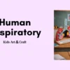 Human Respiratory System Model Project – Materials, Steps & Science Explained