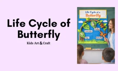 Life cycle of butterfly