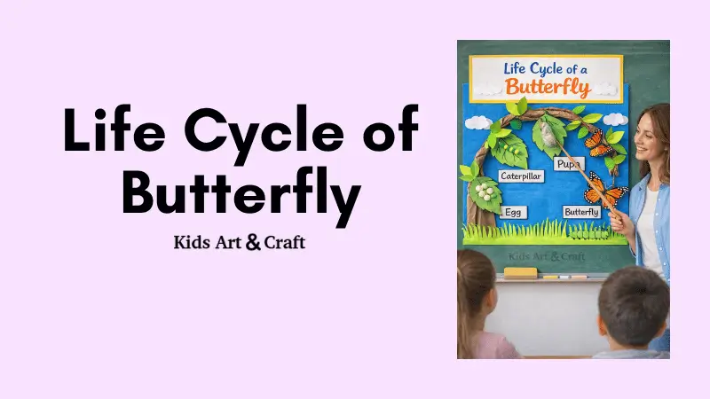 Life cycle of butterfly