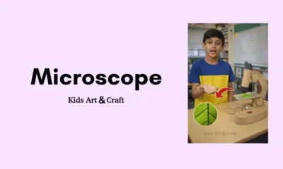 Easy DIY Cardboard Microscope STEM Science Project for Kids