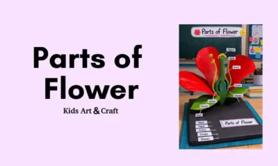 Exploring the Parts of a Flower – A Fun 3D Science Model!