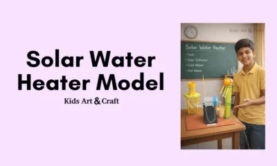 DIY Solar Water Heater Model for School Project