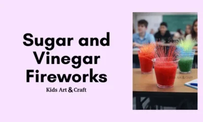 Sugar and Vinegar Fireworks