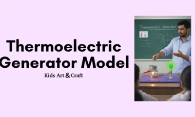 Thermoelectric Generator Model STEM Project for Students
