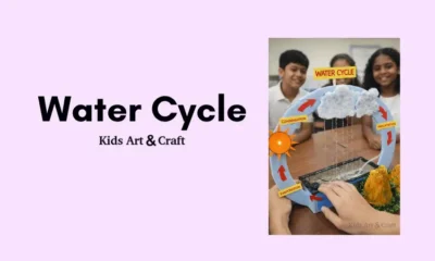 Water Cycle Working Model Project for Students