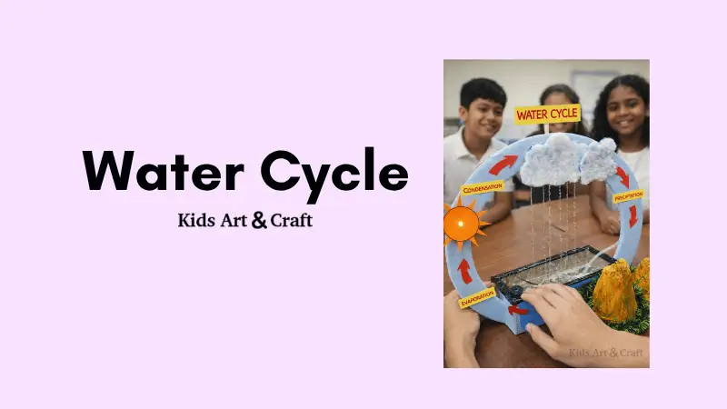 Water Cycle Working Model Project for Students