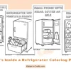 What’s Inside a Refrigerator Coloring Pages for Kids