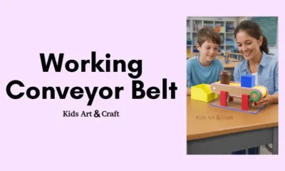 DIY Conveyor Belt Working Model for School