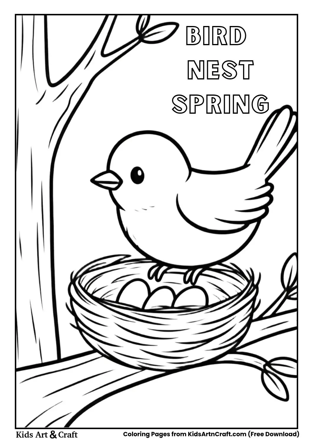 Bird nest with eggs coloring page for kids