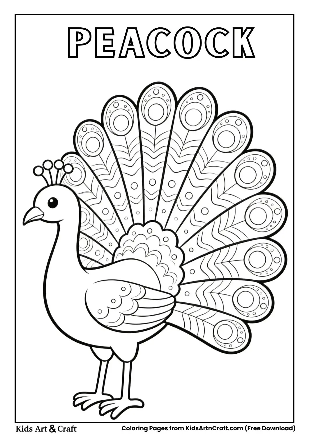 peacock with open feathers coloring page