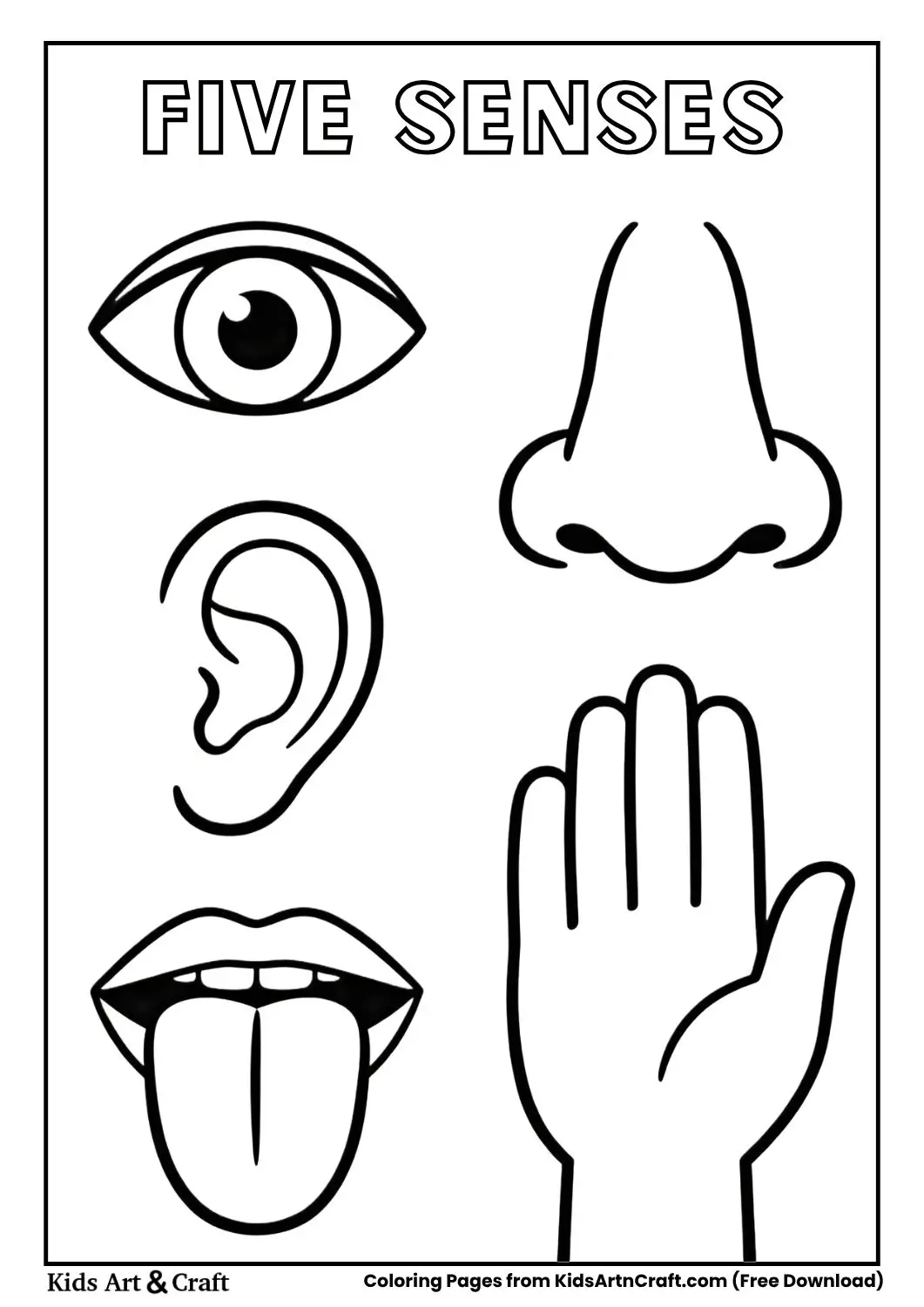 five senses coloring page showing eye ear nose tongue and hand