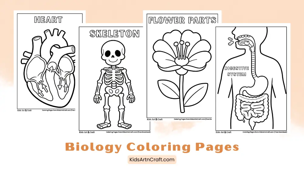 Biology Coloring Pages for Kids