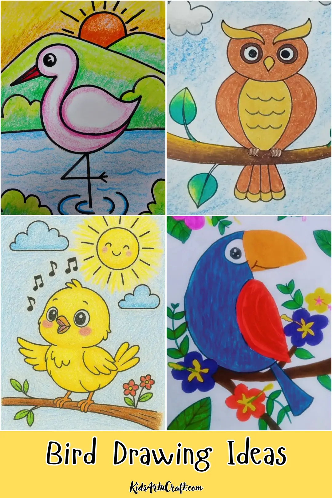 Bird drawing ideas featuring colorful crayon illustrations of a flamingo, owl, chick, and parrot.