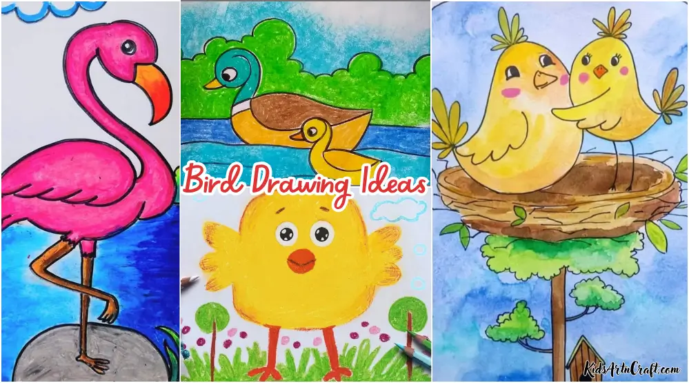 Bird Drawing Ideas for Kids: Easy, Cute, and Creative Bird Sketches