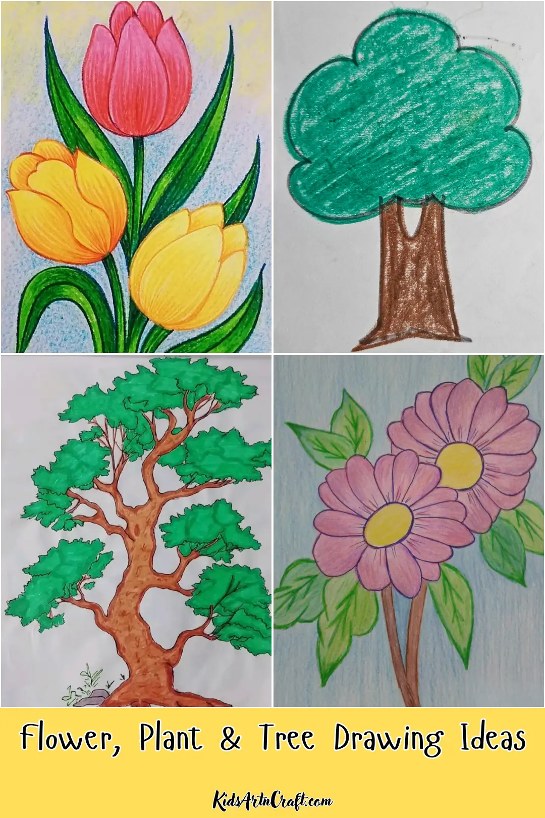 Flower, plant, and tree drawing ideas featuring colorful tulips, a simple tree, a detailed tree, and pink flowers.