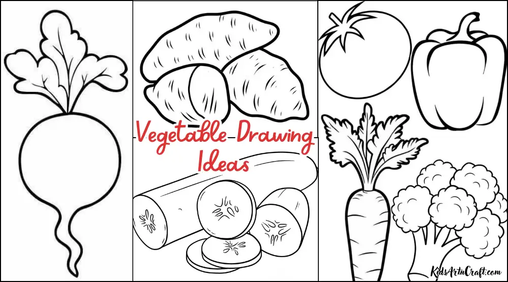 Vegetable Drawing Ideas